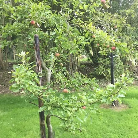 Lejlighed An Bothan-cosy In The Cooley Mountains