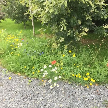 An Bothán-cosy In The Cooley Mountains *