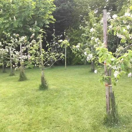 An Bothán-cosy In The Cooley Mountains Dundalk