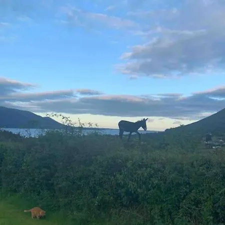An Bothan-cosy In The Cooley Mountains * Dundalk