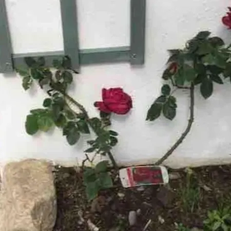 Apartmán An Bothan-cosy In The Cooley Mountains Dundalk