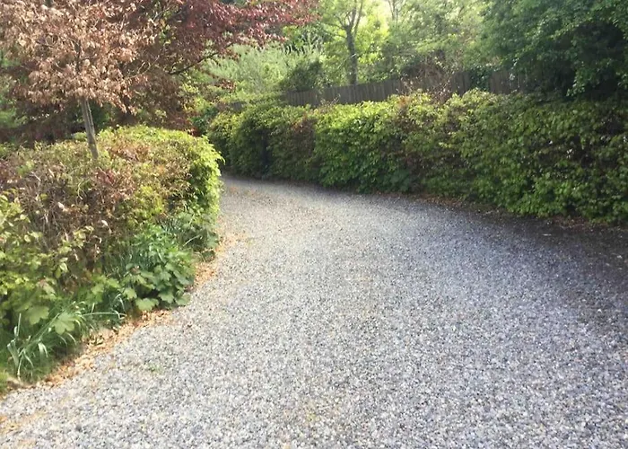 An Bothán-cosy In The Cooley Mountains Appartamento