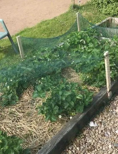 An Bothan-cosy In The Cooley Mountains *