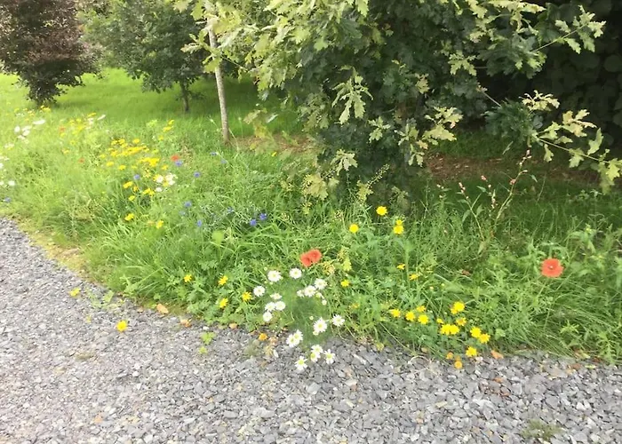 An Bothán-cosy In The Cooley Mountains *