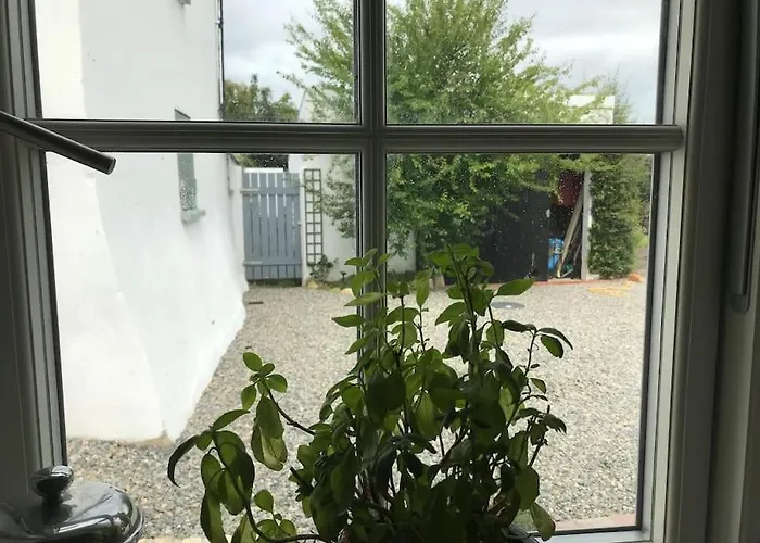 An Bothán-cosy In The Cooley Mountains Dundalk