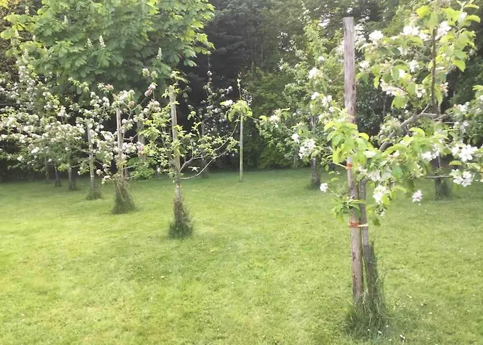 An Bothan-cosy In The Cooley Mountains ダンドーク