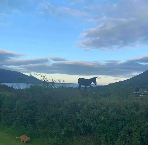 An Bothan-cosy In The Cooley Mountains * ダンドーク