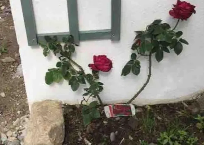 Appartamento An Bothán-cosy In The Cooley Mountains Dundalk